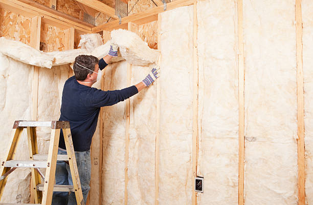 Best Pipe and Duct Insulation  in Lakeland, TN