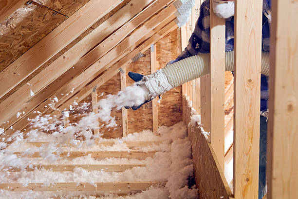 Best Commercial Insulation Services  in Lakeland, TN